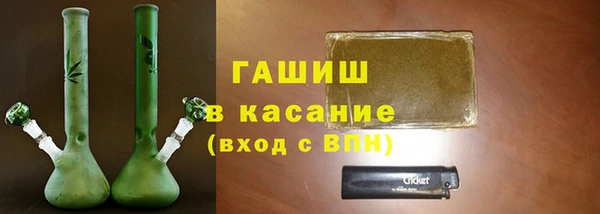 сатива Армянск