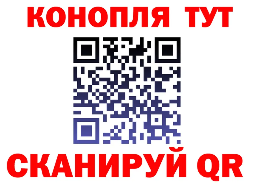 МЯУ-МЯУ 4 MMC tor площадка ОМГ ОМГ Зима