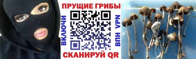 omg маркетплейс где найти Зима Галлюциногенные грибы MAGIC MUSHROOMS
