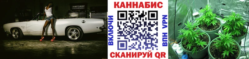 Конопля план  Зима 