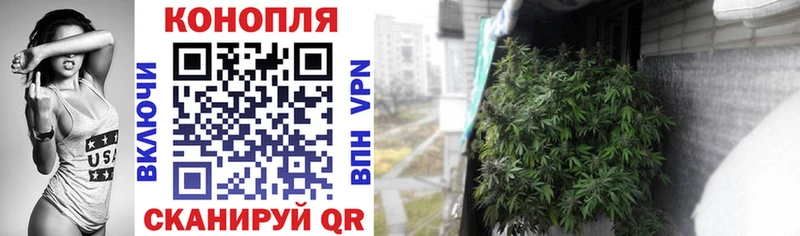 МАРИХУАНА ГИДРОПОН Зима